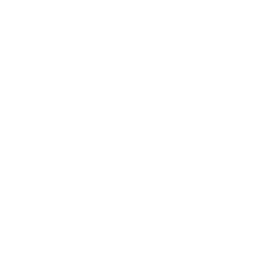 Brucy's Assistant logo bijeli/white